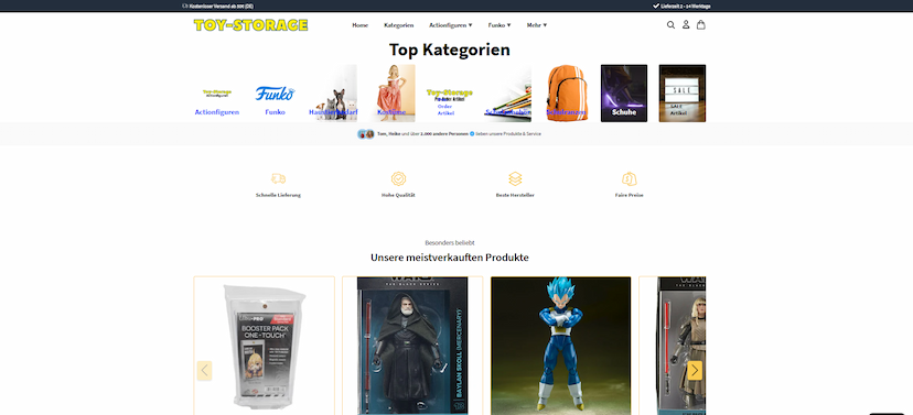 Screenshot der Shop-Webseite von toy-storage