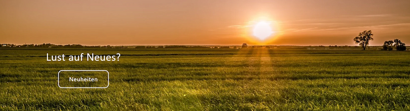 Screenshot der Shop-Webseite von WIESEN.design