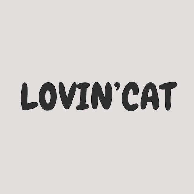 LOVIN'CAT