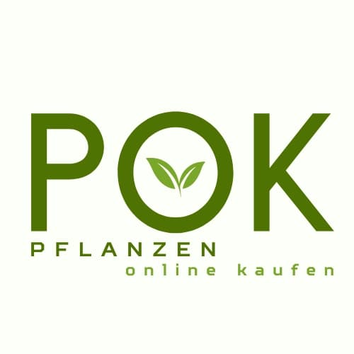 Pflanzen online kaufen