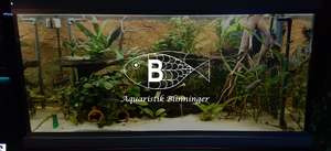 Screenshot der Shop-Webseite von Aquaristik Blinninger