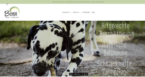 Screenshot der Shop-Webseite von Bora Products