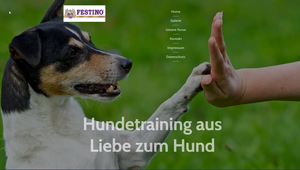 Screenshot der Shop-Webseite von Festinos-Hundeschule-Joy