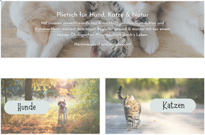 Screenshot der Shop-Webseite von Fräulein Plath