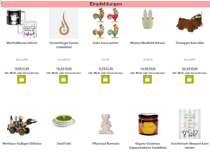 Screenshot der Shop-Webseite von kleine Dinge Laden.de