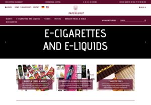 Screenshot der Shop-Webseite von Paperguru