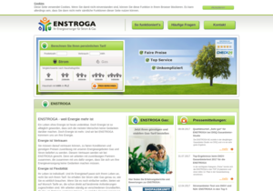 Screenshot der Shop-Webseite von ENSTROGA